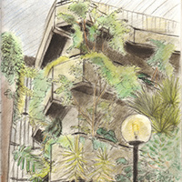 Drawing of the Barbican conservatory