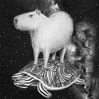 Drawing of a Capybara riding a terrapin in space