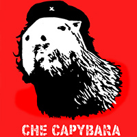 Drawing of Che Capybara